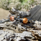 Preview: Katzenmaiers - Pearl - 10 mm - Yellowish orange
