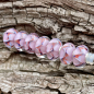 Preview: Trollbeads - GB - Avalon Dream