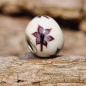 Preview: Trollbeads - Limitiert - Silent Moments