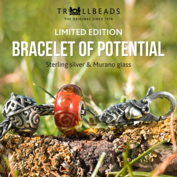 Trollbeads - Bracelet of Potential - Limited